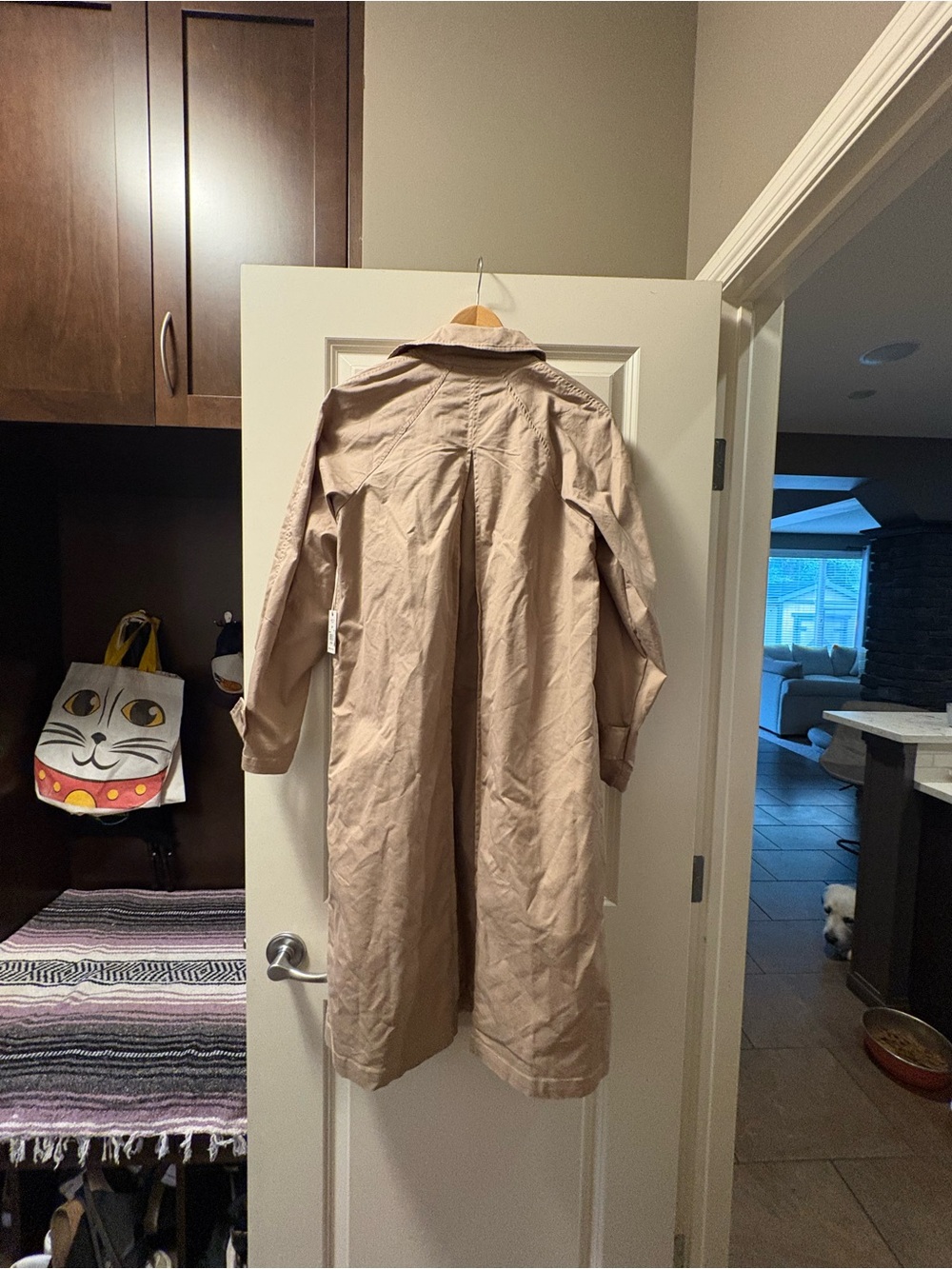 Dex Beige Trench Coat - Light Neutral Outerwear - Picture 4 of 4